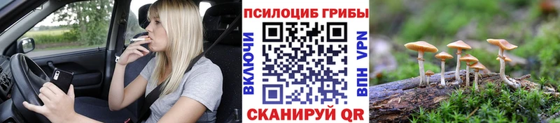 как найти наркотики  Покров  Галлюциногенные грибы прущие грибы 